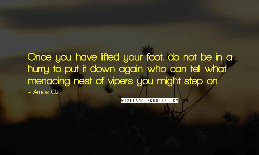 Amos Oz Quotes: Once you have lifted your foot, do not be in a hurry to put it down again: who can tell what menacing nest of vipers you might step on.