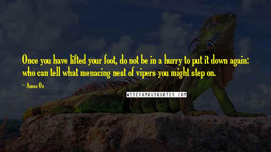 Amos Oz Quotes: Once you have lifted your foot, do not be in a hurry to put it down again: who can tell what menacing nest of vipers you might step on.