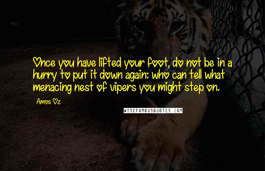 Amos Oz Quotes: Once you have lifted your foot, do not be in a hurry to put it down again: who can tell what menacing nest of vipers you might step on.