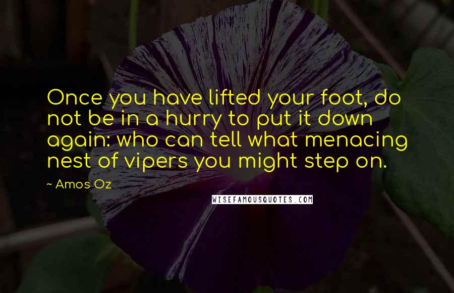Amos Oz Quotes: Once you have lifted your foot, do not be in a hurry to put it down again: who can tell what menacing nest of vipers you might step on.