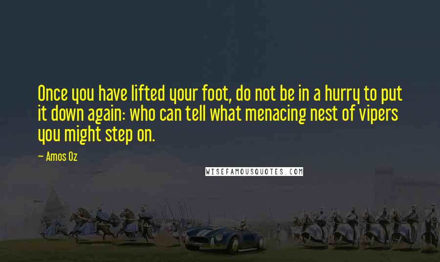 Amos Oz Quotes: Once you have lifted your foot, do not be in a hurry to put it down again: who can tell what menacing nest of vipers you might step on.