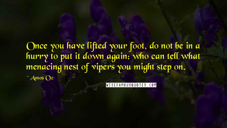 Amos Oz Quotes: Once you have lifted your foot, do not be in a hurry to put it down again: who can tell what menacing nest of vipers you might step on.