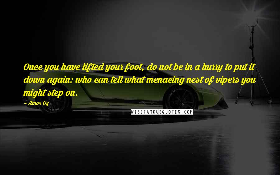 Amos Oz Quotes: Once you have lifted your foot, do not be in a hurry to put it down again: who can tell what menacing nest of vipers you might step on.