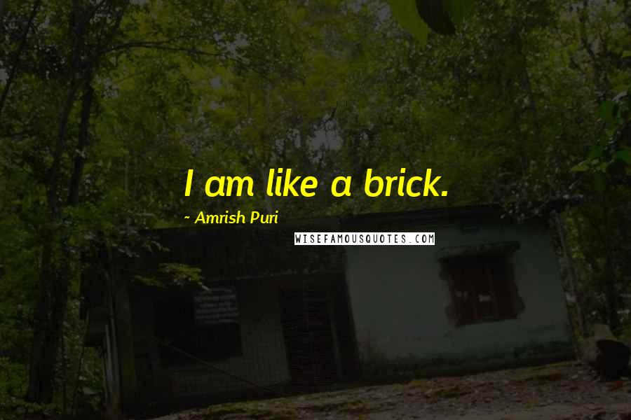 Amrish Puri Quotes: I am like a brick.