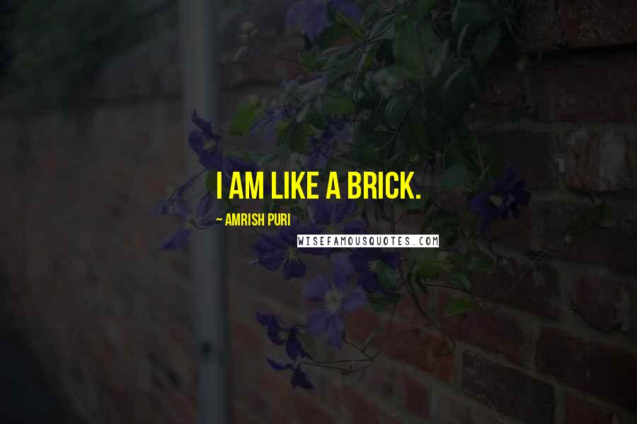 Amrish Puri Quotes: I am like a brick.