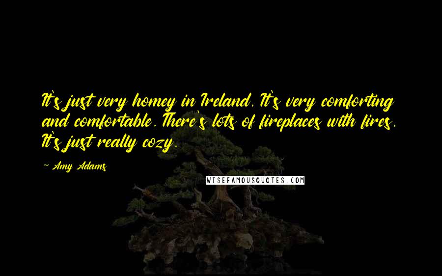 Amy Adams Quotes: It's just very homey in Ireland. It's very comforting and comfortable. There's lots of fireplaces with fires. It's just really cozy.