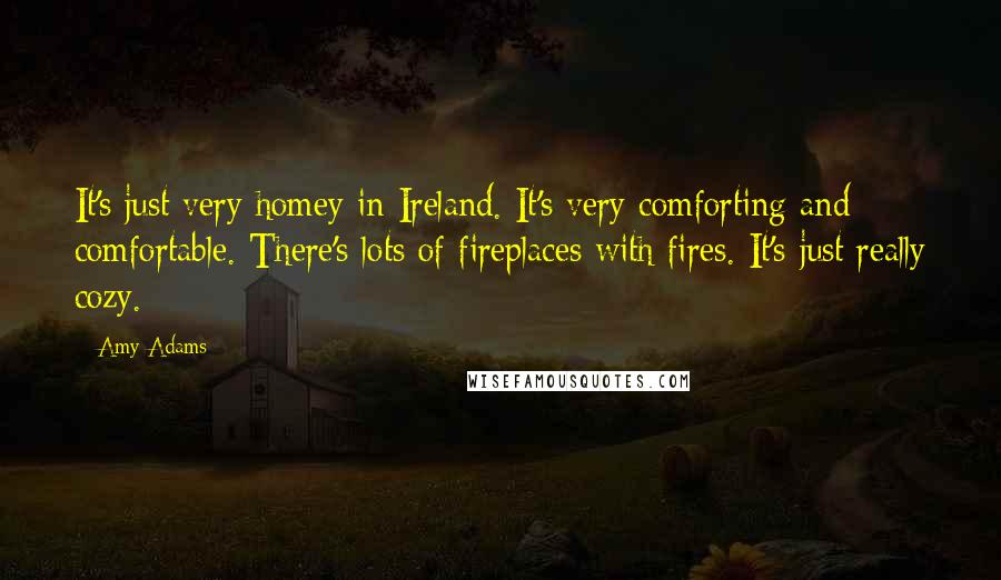 Amy Adams Quotes: It's just very homey in Ireland. It's very comforting and comfortable. There's lots of fireplaces with fires. It's just really cozy.