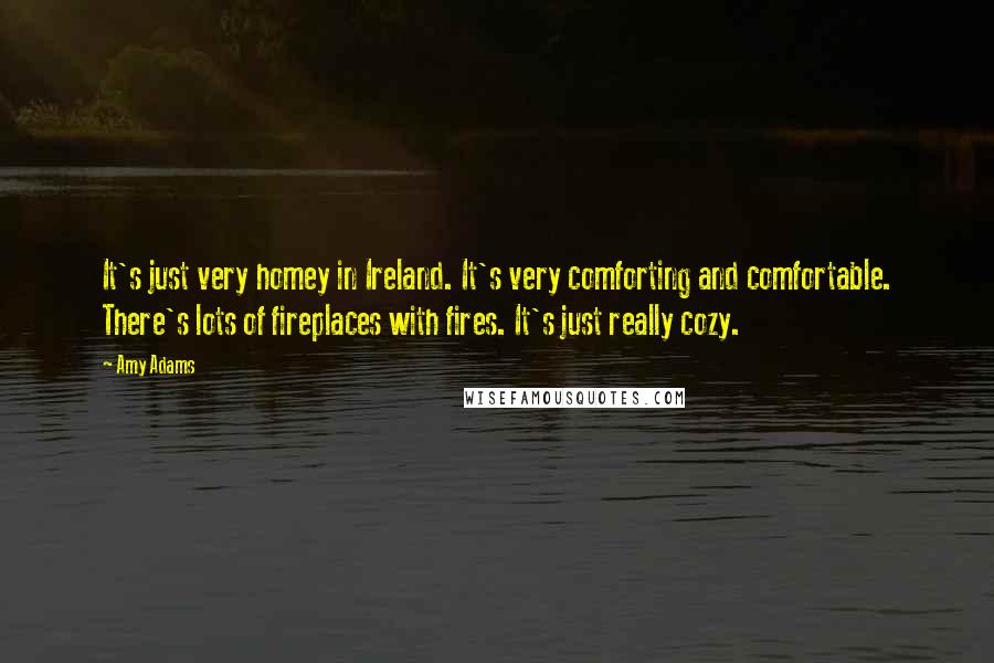 Amy Adams Quotes: It's just very homey in Ireland. It's very comforting and comfortable. There's lots of fireplaces with fires. It's just really cozy.