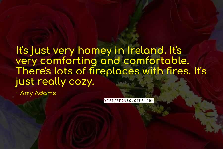 Amy Adams Quotes: It's just very homey in Ireland. It's very comforting and comfortable. There's lots of fireplaces with fires. It's just really cozy.