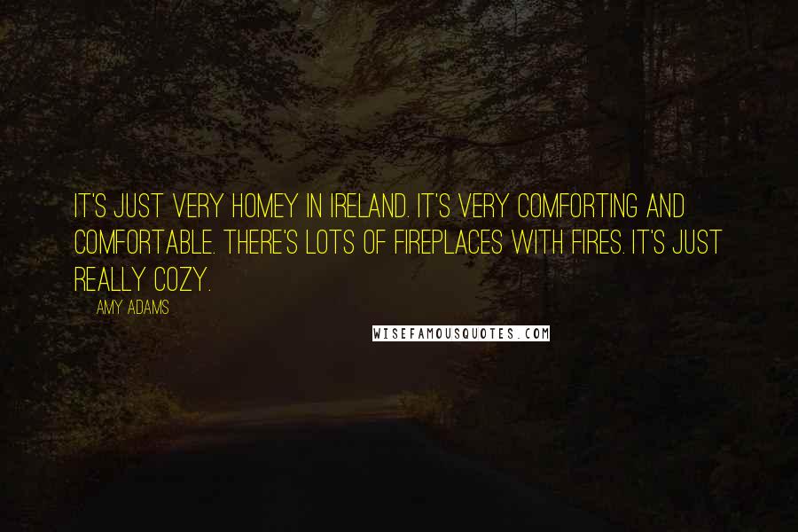 Amy Adams Quotes: It's just very homey in Ireland. It's very comforting and comfortable. There's lots of fireplaces with fires. It's just really cozy.
