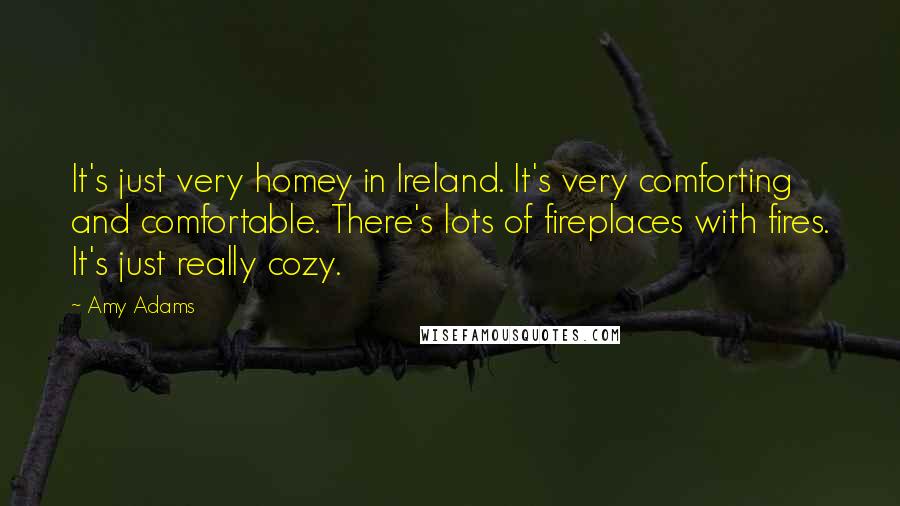 Amy Adams Quotes: It's just very homey in Ireland. It's very comforting and comfortable. There's lots of fireplaces with fires. It's just really cozy.