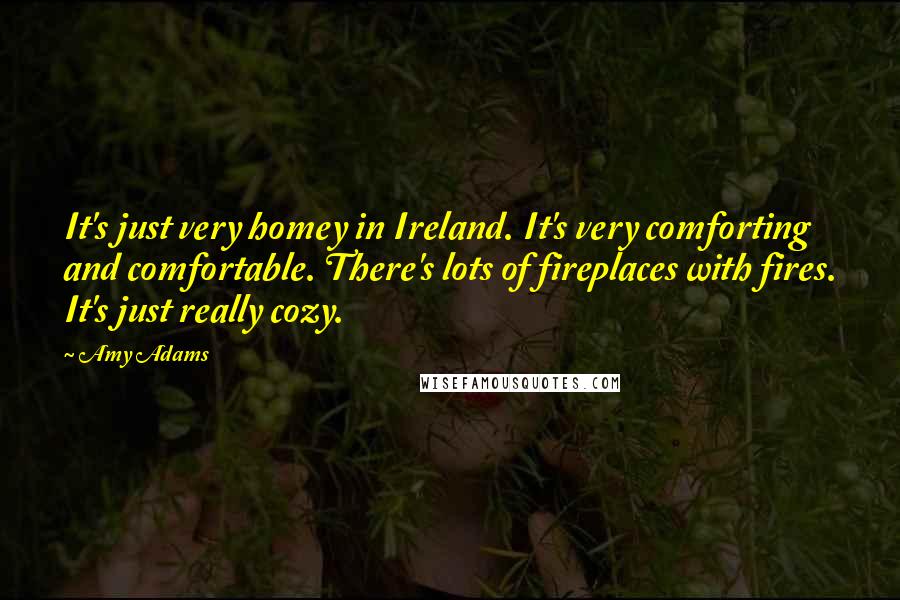 Amy Adams Quotes: It's just very homey in Ireland. It's very comforting and comfortable. There's lots of fireplaces with fires. It's just really cozy.