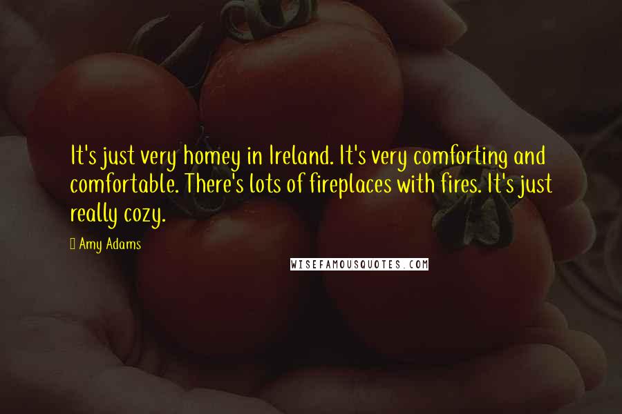 Amy Adams Quotes: It's just very homey in Ireland. It's very comforting and comfortable. There's lots of fireplaces with fires. It's just really cozy.