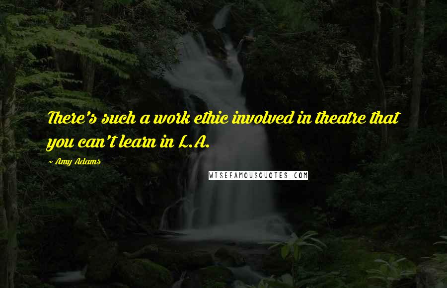 Amy Adams Quotes: There's such a work ethic involved in theatre that you can't learn in L.A.