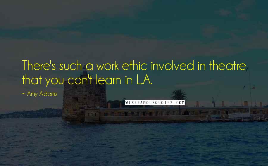 Amy Adams Quotes: There's such a work ethic involved in theatre that you can't learn in L.A.