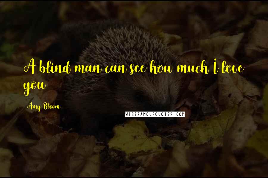 Amy Bloom Quotes: A blind man can see how much I love you