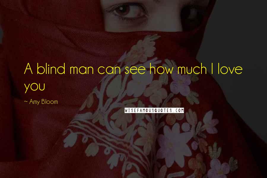 Amy Bloom Quotes: A blind man can see how much I love you