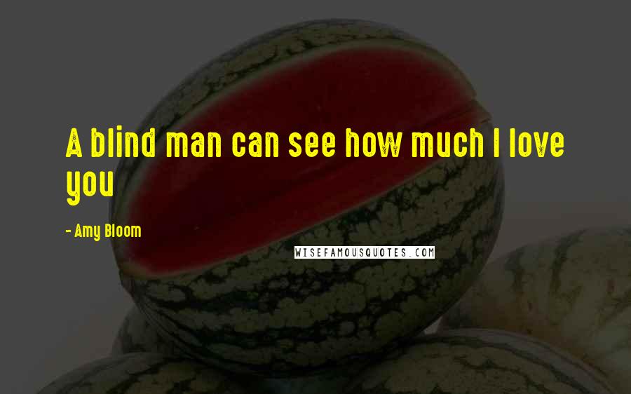 Amy Bloom Quotes: A blind man can see how much I love you