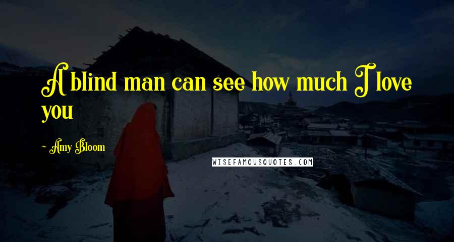 Amy Bloom Quotes: A blind man can see how much I love you