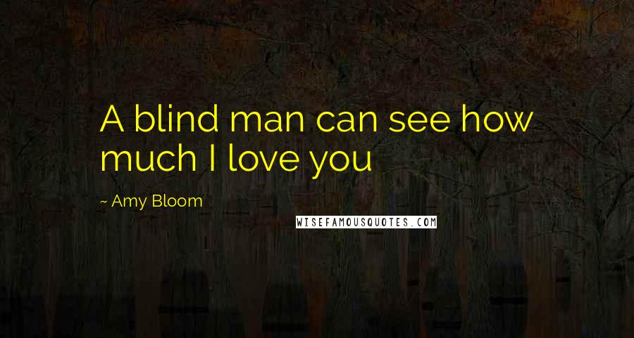 Amy Bloom Quotes: A blind man can see how much I love you