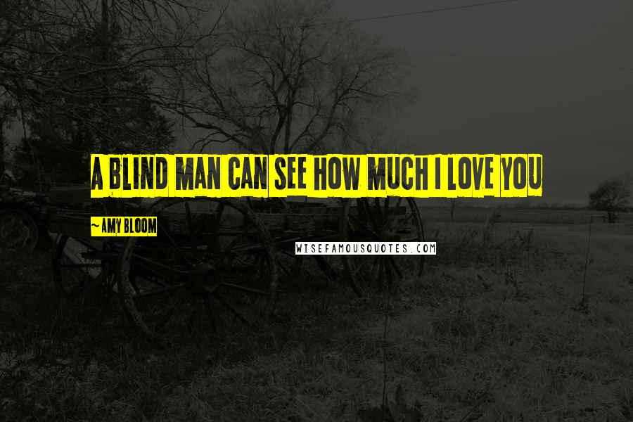 Amy Bloom Quotes: A blind man can see how much I love you