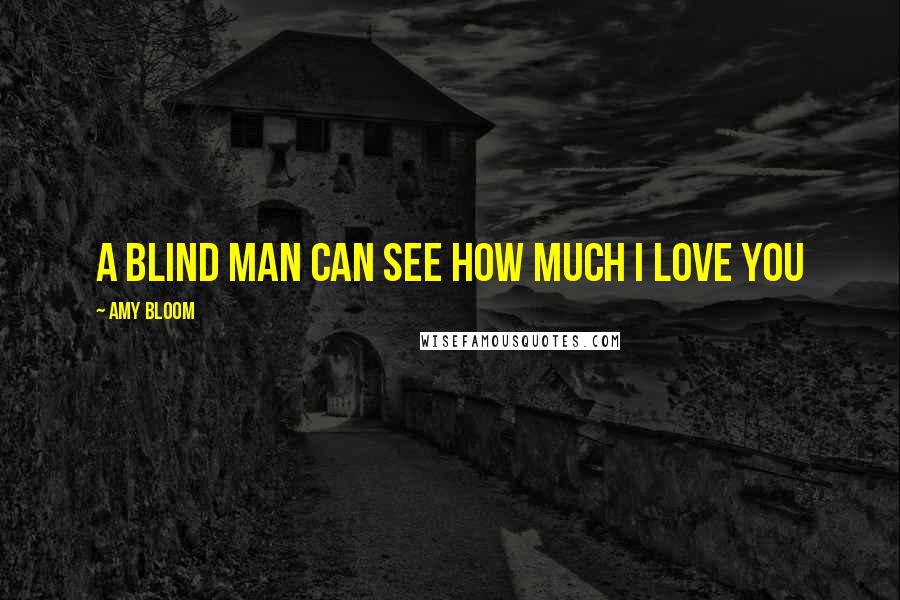 Amy Bloom Quotes: A blind man can see how much I love you