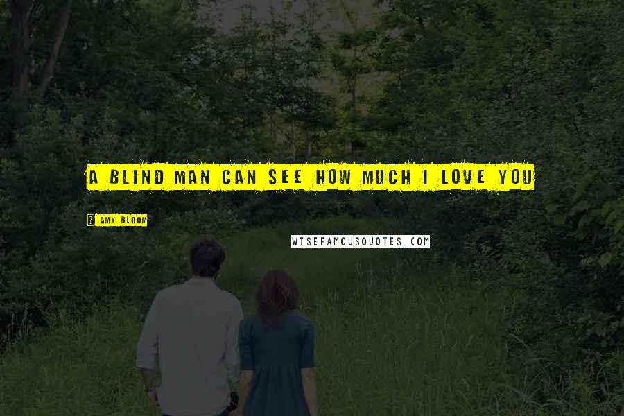 Amy Bloom Quotes: A blind man can see how much I love you