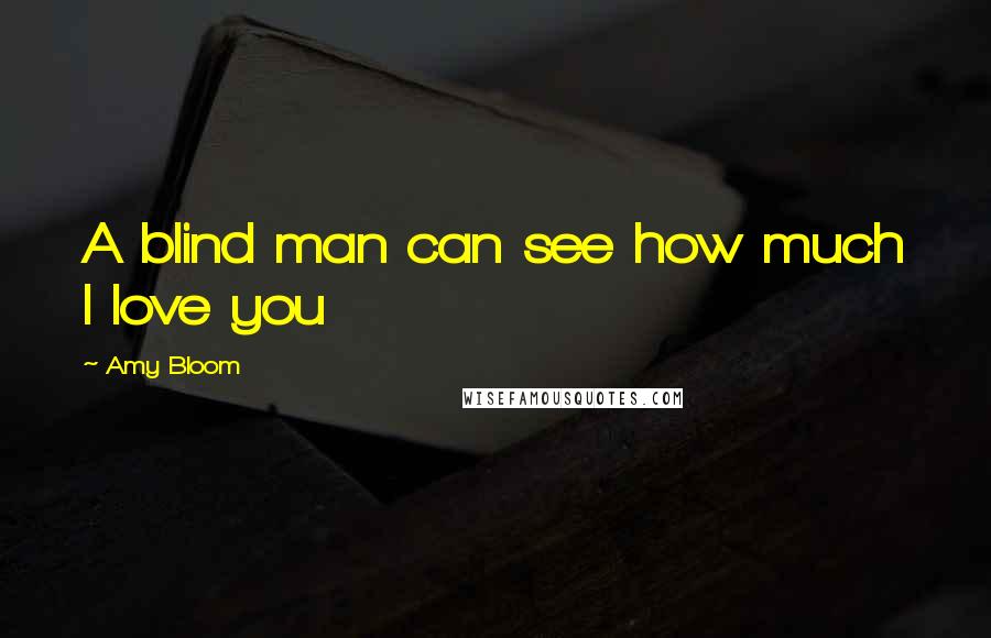 Amy Bloom Quotes: A blind man can see how much I love you