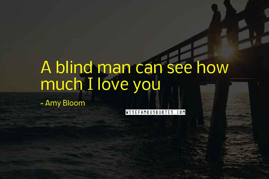 Amy Bloom Quotes: A blind man can see how much I love you