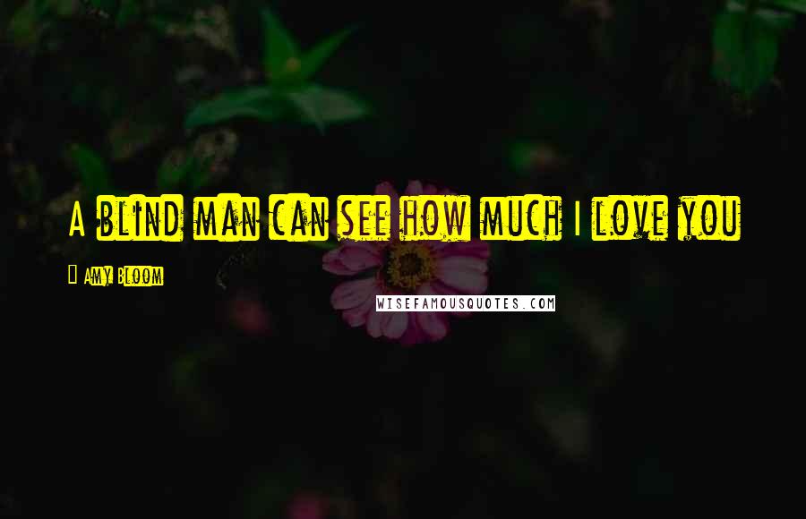 Amy Bloom Quotes: A blind man can see how much I love you