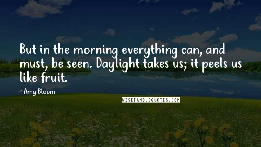 Amy Bloom Quotes: But in the morning everything can, and must, be seen. Daylight takes us; it peels us like fruit.
