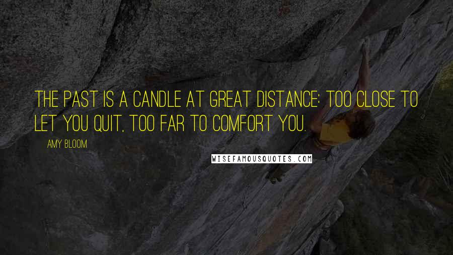 Amy Bloom Quotes: The past is a candle at great distance: too close to let you quit, too far to comfort you.