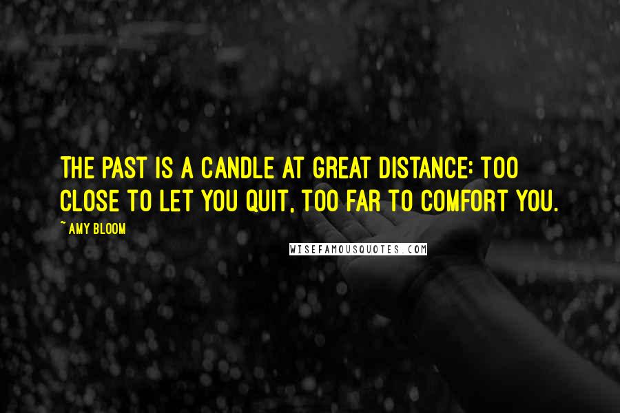 Amy Bloom Quotes: The past is a candle at great distance: too close to let you quit, too far to comfort you.