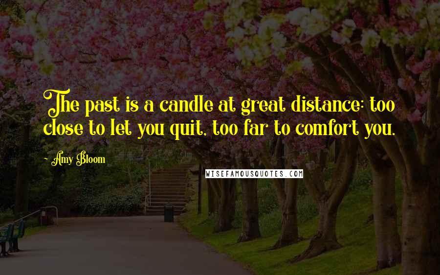 Amy Bloom Quotes: The past is a candle at great distance: too close to let you quit, too far to comfort you.