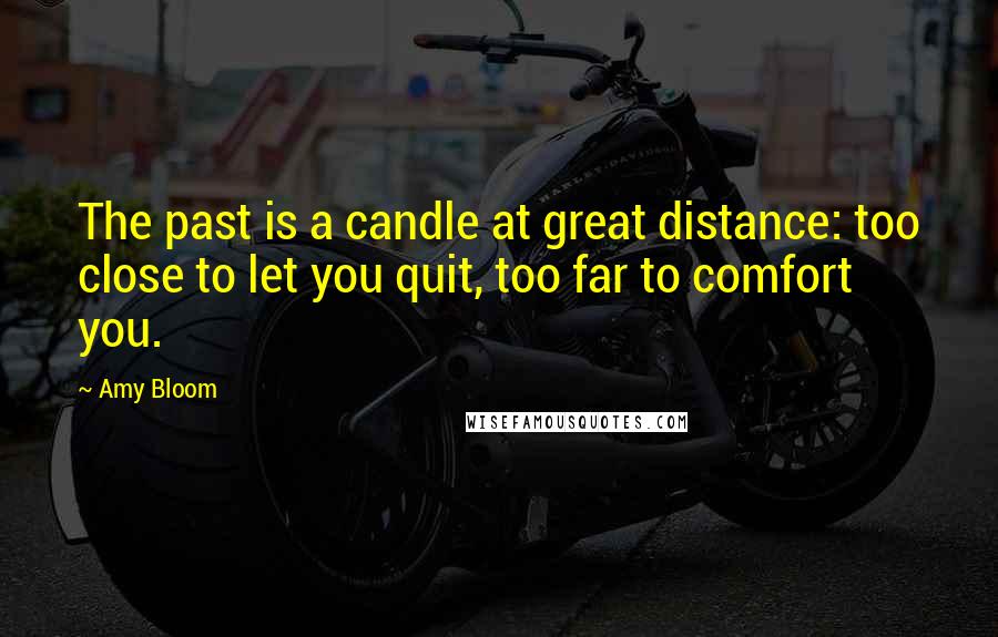 Amy Bloom Quotes: The past is a candle at great distance: too close to let you quit, too far to comfort you.