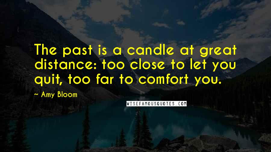 Amy Bloom Quotes: The past is a candle at great distance: too close to let you quit, too far to comfort you.