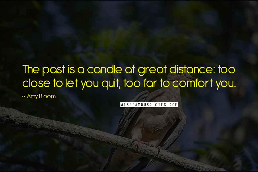 Amy Bloom Quotes: The past is a candle at great distance: too close to let you quit, too far to comfort you.