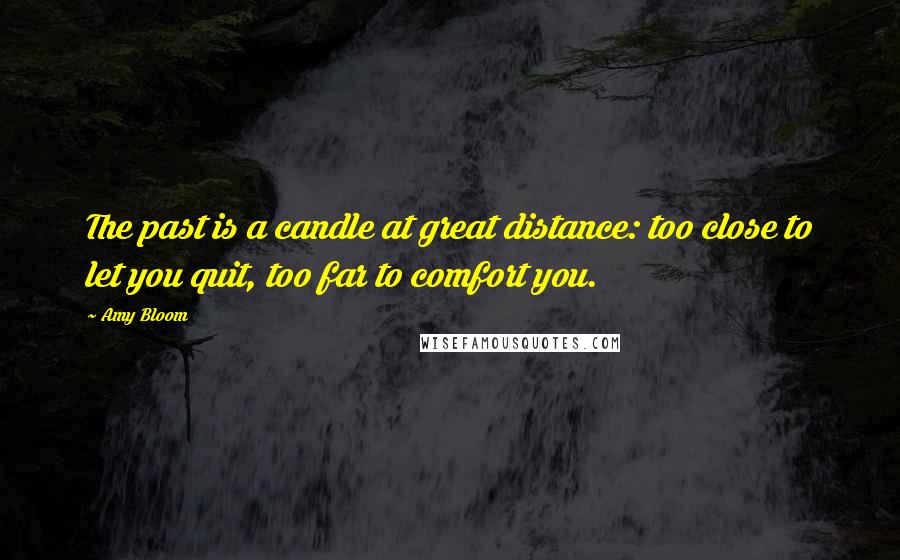 Amy Bloom Quotes: The past is a candle at great distance: too close to let you quit, too far to comfort you.