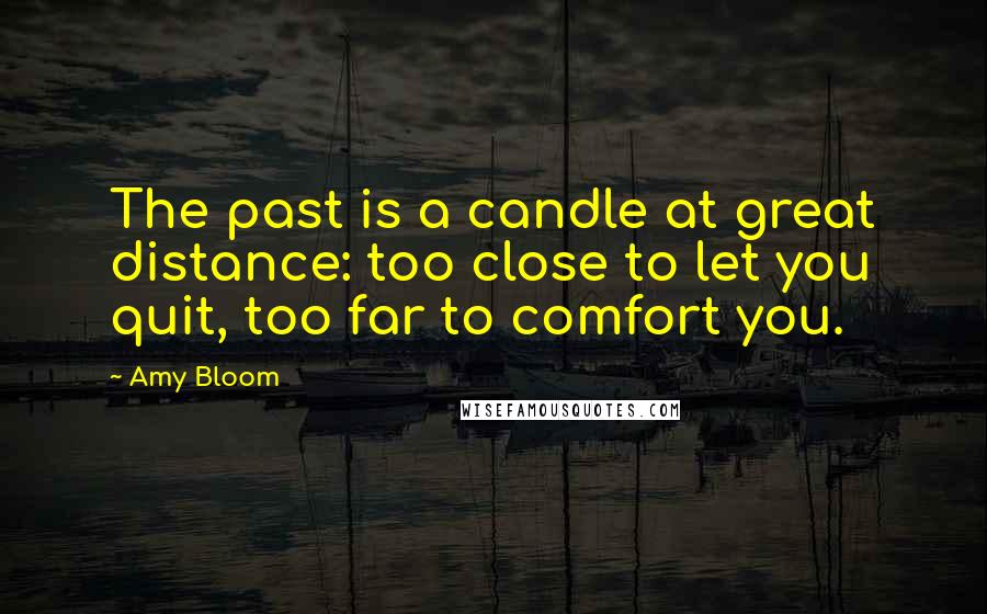 Amy Bloom Quotes: The past is a candle at great distance: too close to let you quit, too far to comfort you.