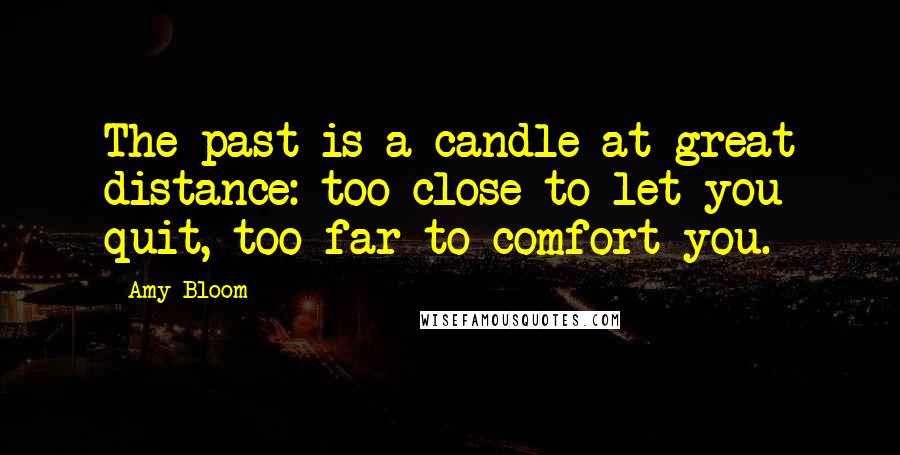 Amy Bloom Quotes: The past is a candle at great distance: too close to let you quit, too far to comfort you.