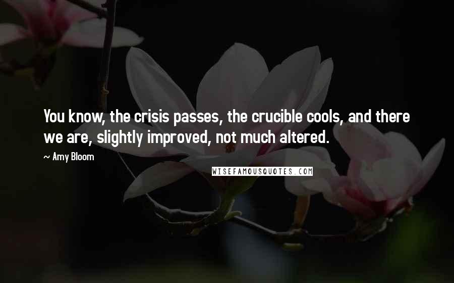 Amy Bloom Quotes: You know, the crisis passes, the crucible cools, and there we are, slightly improved, not much altered.