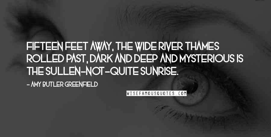 Amy Butler Greenfield Quotes: Fifteen feet away, the wide River Thames rolled past, dark and deep and mysterious is the sullen-not-quite sunrise.