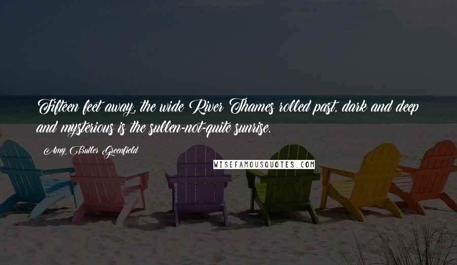 Amy Butler Greenfield Quotes: Fifteen feet away, the wide River Thames rolled past, dark and deep and mysterious is the sullen-not-quite sunrise.