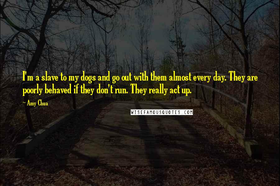 Amy Chua Quotes: I'm a slave to my dogs and go out with them almost every day. They are poorly behaved if they don't run. They really act up.