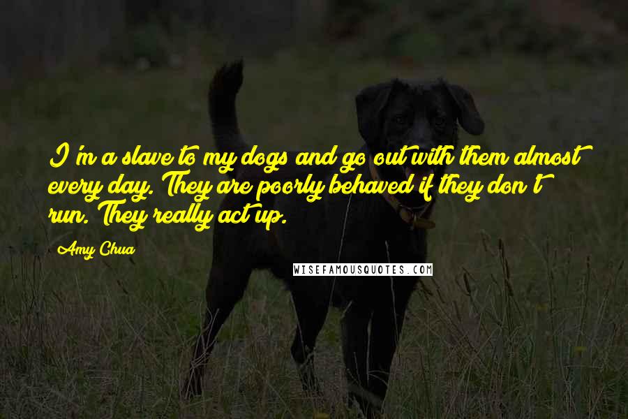 Amy Chua Quotes: I'm a slave to my dogs and go out with them almost every day. They are poorly behaved if they don't run. They really act up.