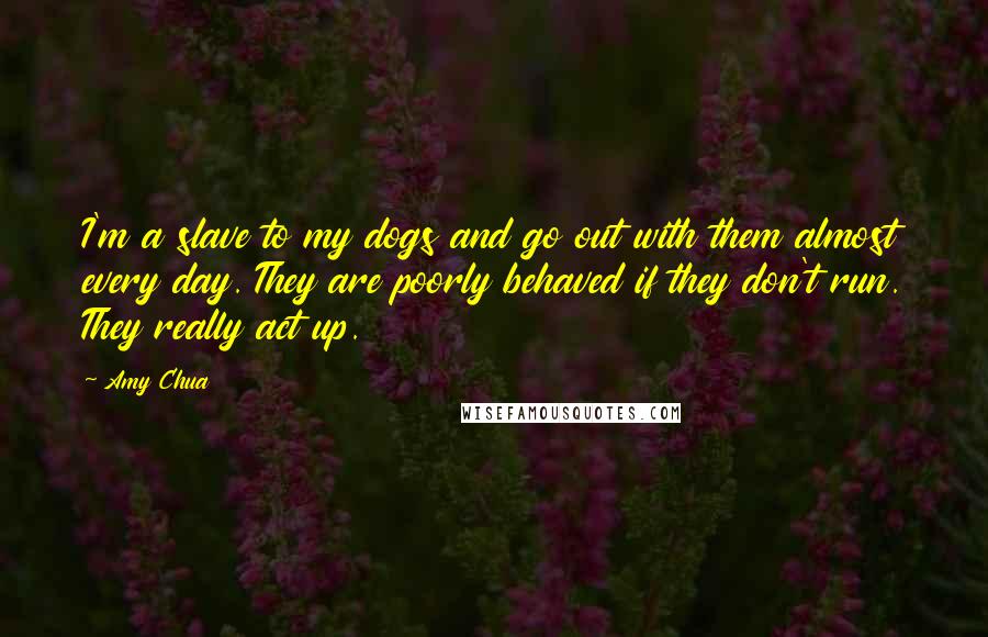 Amy Chua Quotes: I'm a slave to my dogs and go out with them almost every day. They are poorly behaved if they don't run. They really act up.