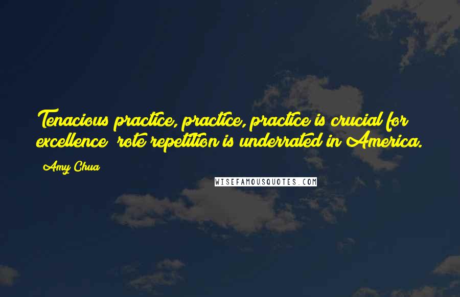 Amy Chua Quotes: Tenacious practice, practice, practice is crucial for excellence; rote repetition is underrated in America.