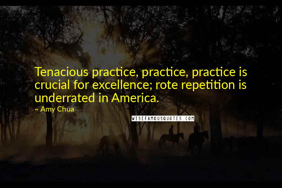 Amy Chua Quotes: Tenacious practice, practice, practice is crucial for excellence; rote repetition is underrated in America.