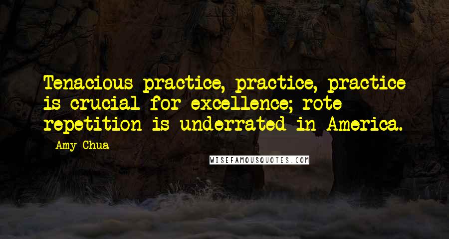 Amy Chua Quotes: Tenacious practice, practice, practice is crucial for excellence; rote repetition is underrated in America.