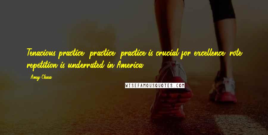 Amy Chua Quotes: Tenacious practice, practice, practice is crucial for excellence; rote repetition is underrated in America.